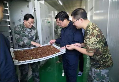 广西那坡 扶贫攻坚有新意 带领群众走出一条创意致富路